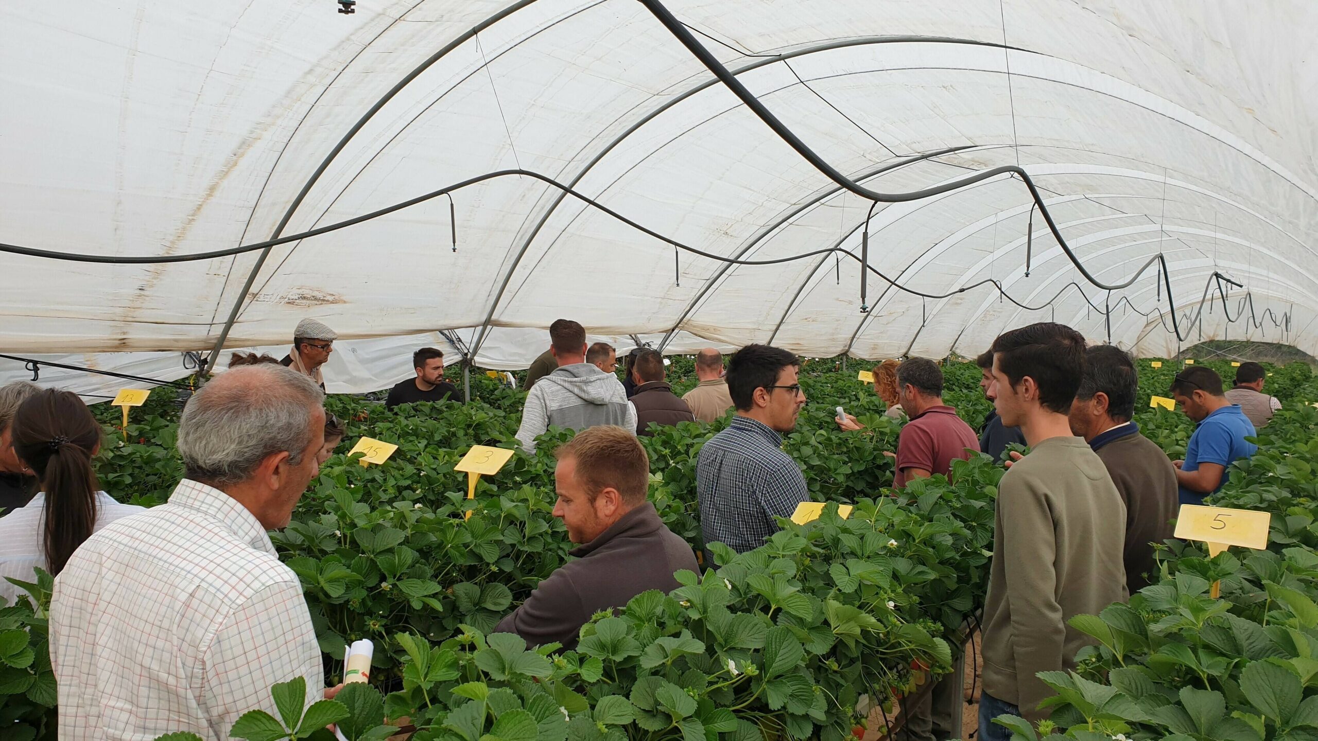 Adesva 20190326_175121|20190326_172228